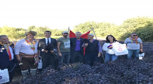 Arapgirde festival dolu dolu geçti