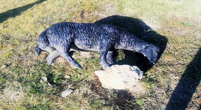 Asırlık yarışmanın simge heykellerini kırıp parçaladılar