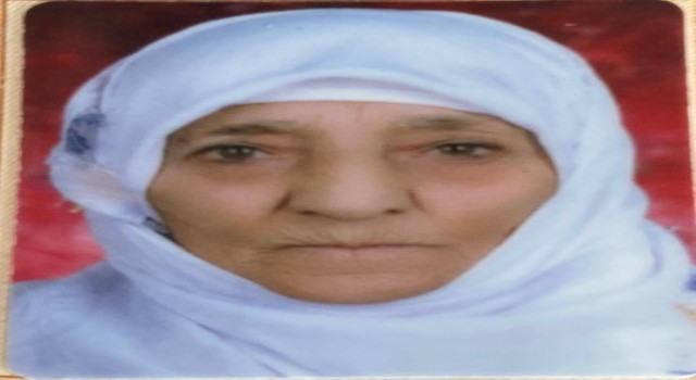 Aslan ailesinin acı günü