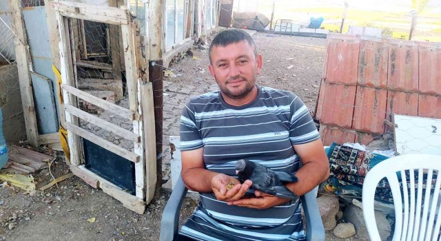 Avucunda beslediği kumrusuyla olan dostluğu dikkat çekiyor