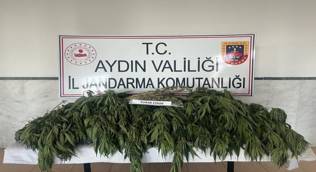 Aydında uyuşturucu ile mücadelede bir haftada 7 kişi tutuklandı
