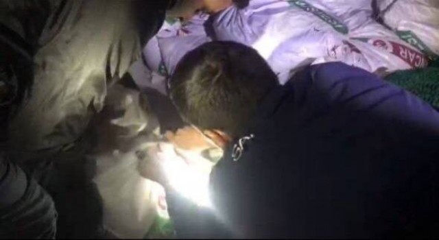 Ayvalıkta “Denize Nefes” operasyonunda rekor sayıda deniz patlıcanı ele geçirildi