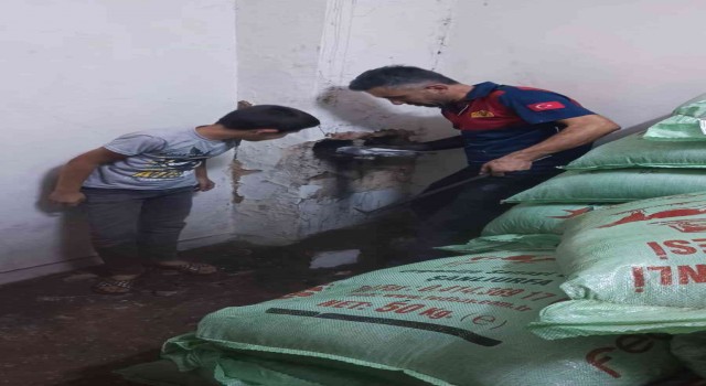 Bacaya sıkışan kedi kurtarıldı