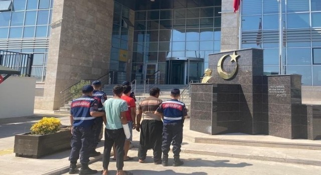 Bahçeden avokado çalarken yakalanan 2 şüpheli tutuklandı