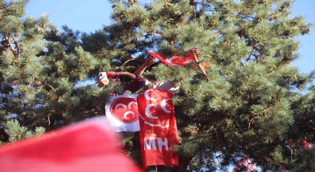 Bahçelinin mitinginde boş yer bulamayan vatandaşlar ağaca tırmandı