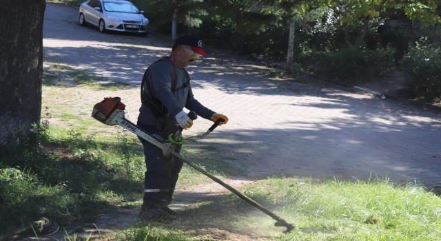 Bahçeşehirde sonbahar temizliği