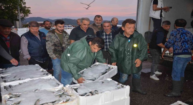 Balıkçıların gün doğmadan başlayan hal mesaisi