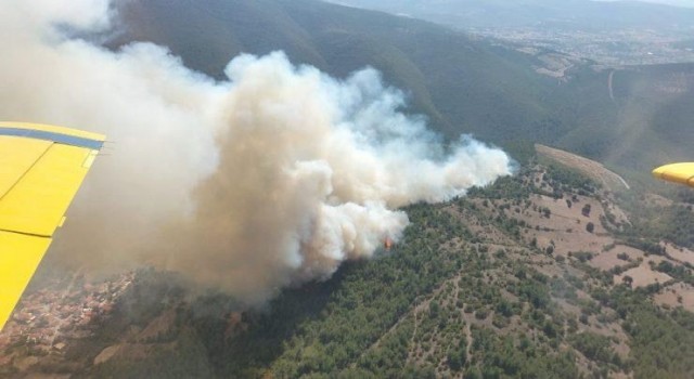 Balıkesirde orman yangını kontrol altında