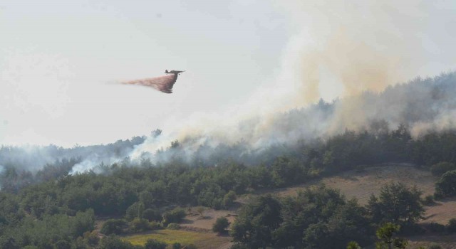 Balıkesirde yangına havadan ve karadan müdahale sürüyor