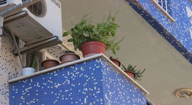 Balkon ve pencere önündeki çiçek saksıları tehlike saçıyor