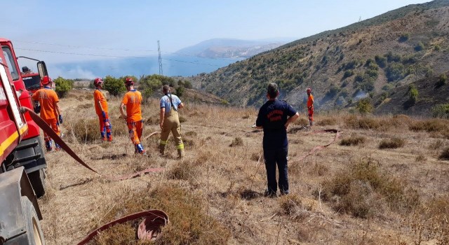 Bandırmada meralık alandaki yangın korkuttu