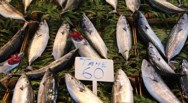 Bandırmada olumsuz hava şartları balık fiyatlarını etkiledi