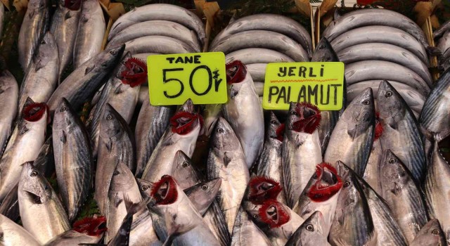 Bandırmada palamut balığına vatandaşlardan yoğun ilgi