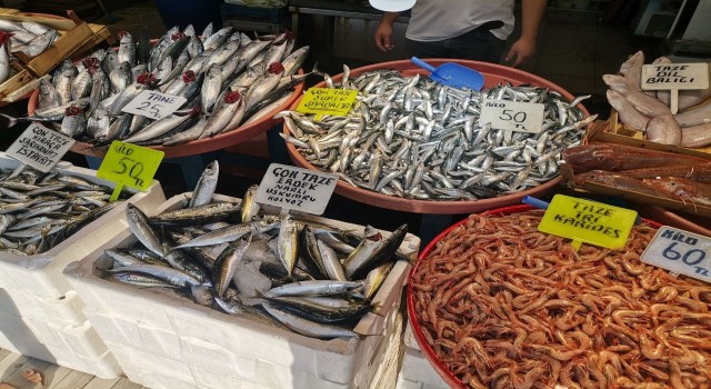 Bandırmadaki balık tezgahlarında bolluk var