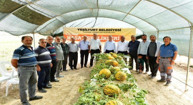 Başkan Çınar, kavun hasadına katıldı