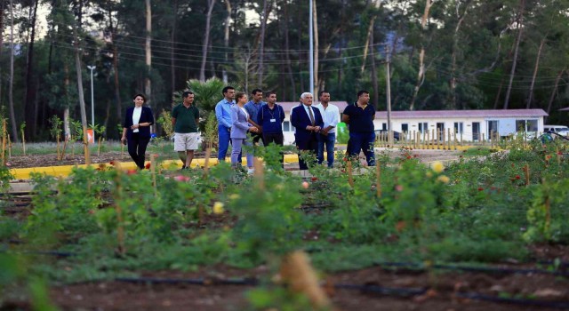 Başkan Gürün Tıbbi Bitkiler Koleksiyon Bahçesini inceledi