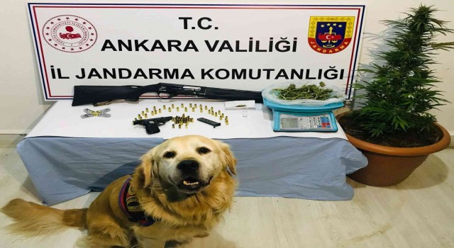 Başkentteki uyuşturucu operasyonlarında 3 kişi gözaltına alındı