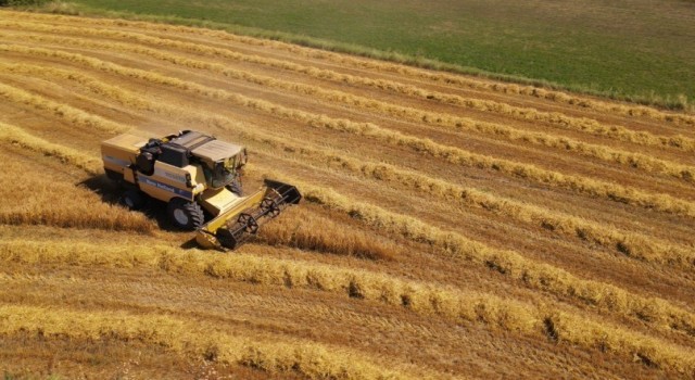 Bayburtta TMOnun buğday ve arpa alım primi desteğinden yararlanma süresi uzatıldı