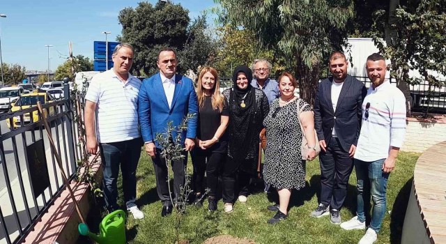 Beyoğlunda 5 bin bebek için 5 bin fidan dikildi