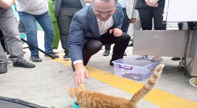Beyoğlunda bir ilk: Gıda ve yemek artıkları hayvan mamasına dönüştürülecek