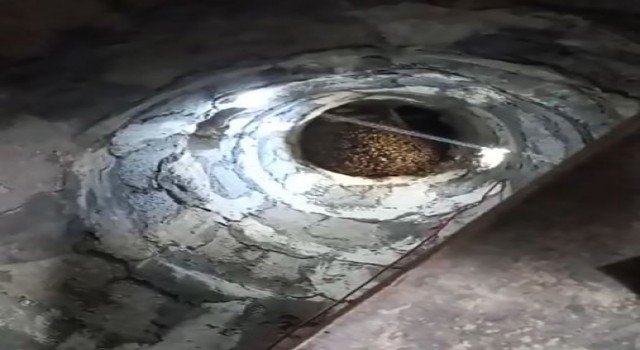 Bingölde arılar, cami minaresine yuva yaptı