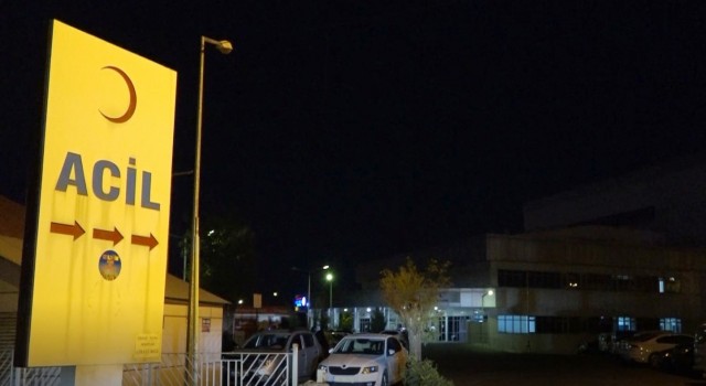 Bingölde yine ayı saldırısı: Yaralanan çoban hastaneye kaldırıldı