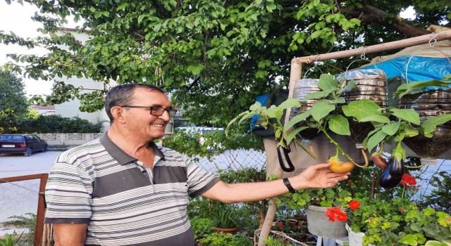 Bu da uçan patlıcan