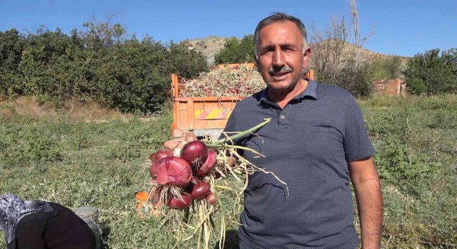 Bu köyde yaşayanların yüzde 90ının gelir kaynağı soğan