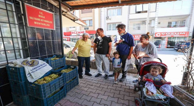 Bucada bağ bozumu bereketi