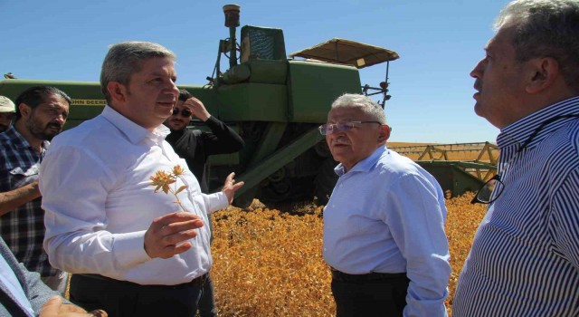 Bünyanda aspir hasadını başkanlar yaptı