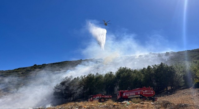 Burdurda orman yangını