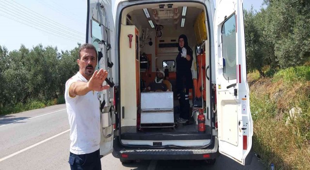 Bursada iki kamyon kafa kafaya çarpıştı: 2 yaralı