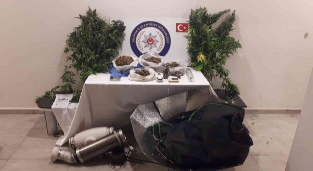 Bursada Kenevir evine baskın: 1 gözaltı