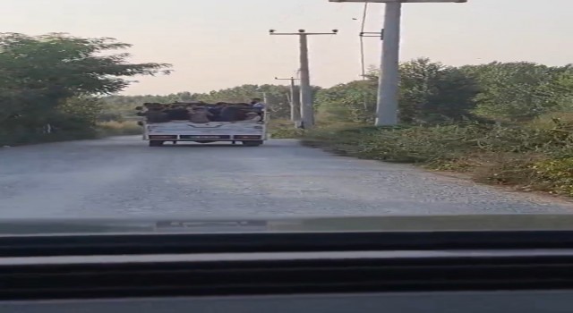 Bursada ölümüne yolculuk