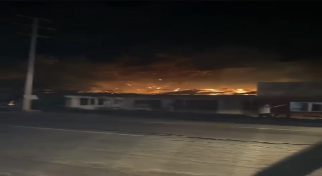 Bursada samanlık alev alev yandı
