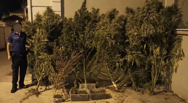 Bursada uyuşturucu operasyonu: 1 gözaltı