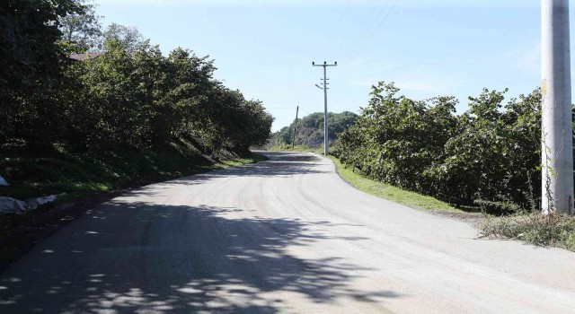 Büyükşehirden 5 mahalleye beton yol