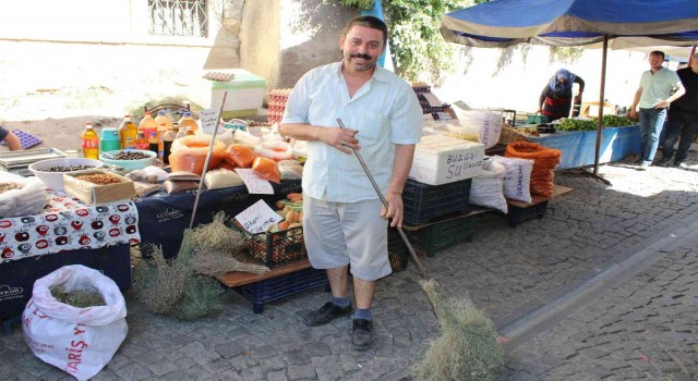 Çalı süpürgesi teknolojiye direniyor