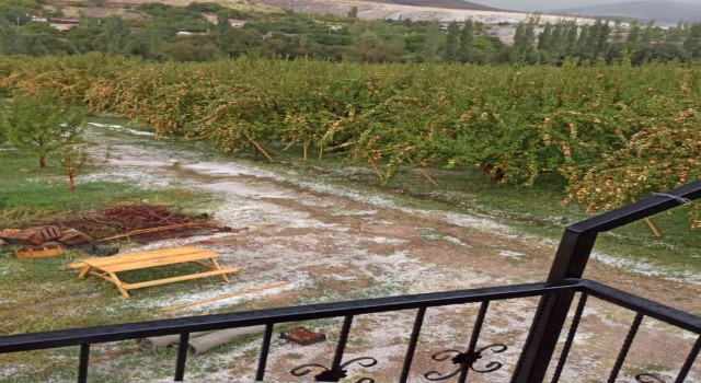 Çamardıda dolu yağışı elmalara zarar verdi