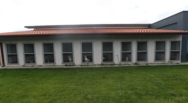 Can dostlarının en güvenli merkezi hizmete başladı