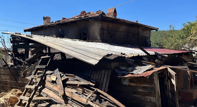 Çanakkalede köyde çıkan yangında 26 hayvan telef oldu