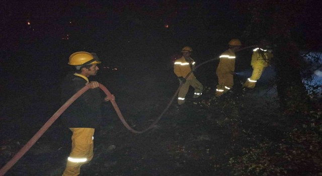 Canları pahasına alevlere müdahale ediyorlar