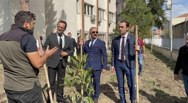 Çaycuma Adliyesinde fidan dikimi yapıldı