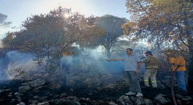 Çeşme yangını kontrol altında
