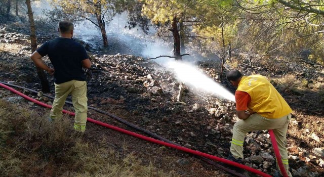 Çeşmedeki yangına müdahale sürüyor