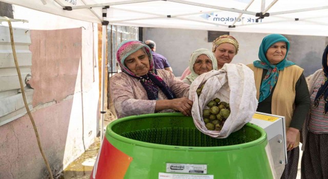 Ceviz soyma makinesi üreticinin yüzünü güldürüyor