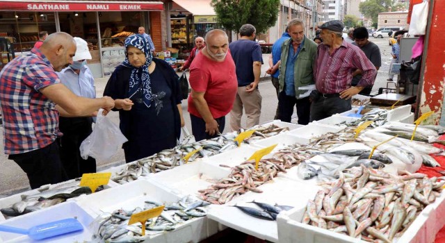 Çinakop tezgahlarda, gözler hala palamutta