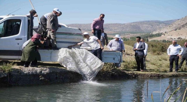 Çivrilde tarla balıkçılığı için ilk adım atıldı