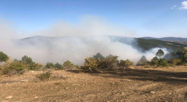 Çorumdaki orman yangını kontrol altına alındı