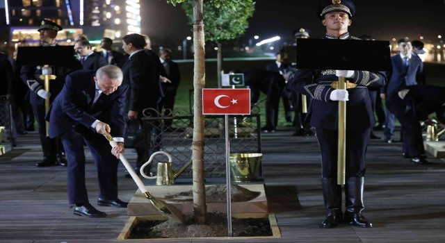 Cumhurbaşkanı Erdoğan, Semerkantta ağaç dikti